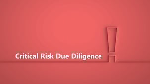 Critical Risk Due Diligence