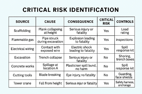 Critical Risk Program Red Flags